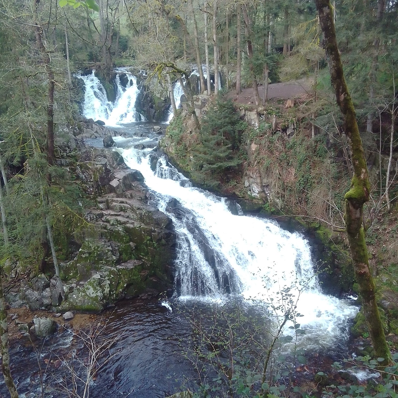 Cascade en forêt près de La Bresse